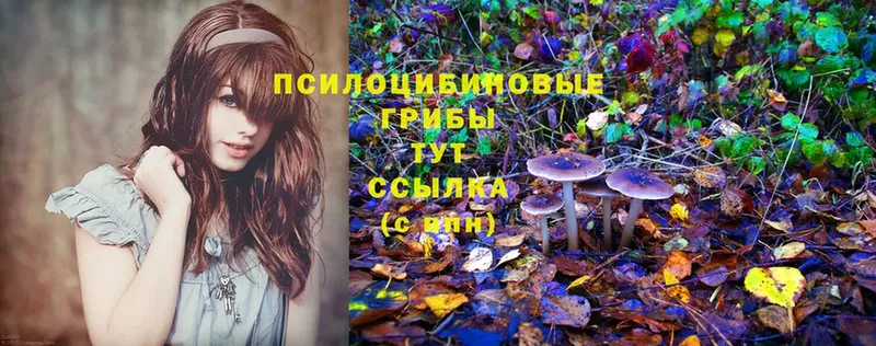 OMG рабочий сайт  площадка официальный сайт  Галлюциногенные грибы Cubensis  Костомукша 